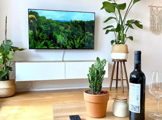 Butler * Bohemian Spirit In The Alps * Netflix Apartment